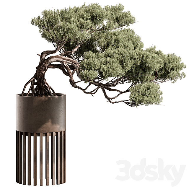 indoor Plant 603 – Bonsai Plant 3ds Max - thumbnail 1