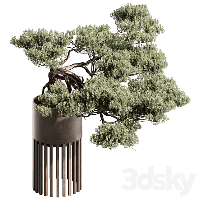 indoor Plant 603 – Bonsai Plant 3ds Max - thumbnail 2