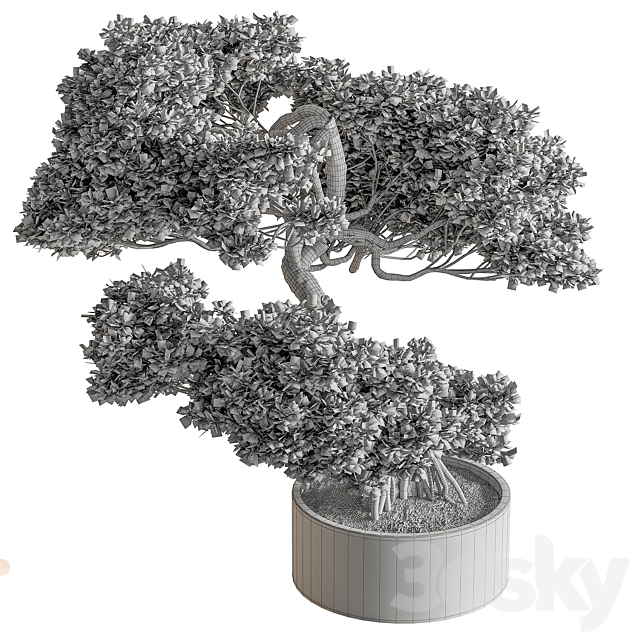 indoor Plant 626 – Bonsai Plant 3DS Max Model - thumbnail 4