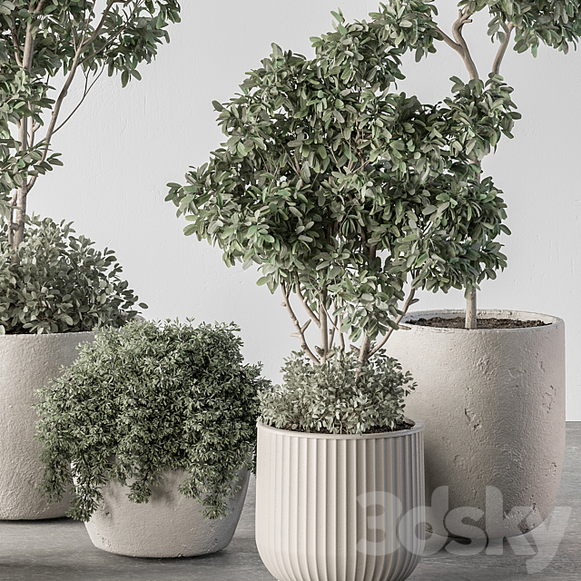 Indoor Plant 634 -Tree in Pot 3ds Max - thumbnail 3