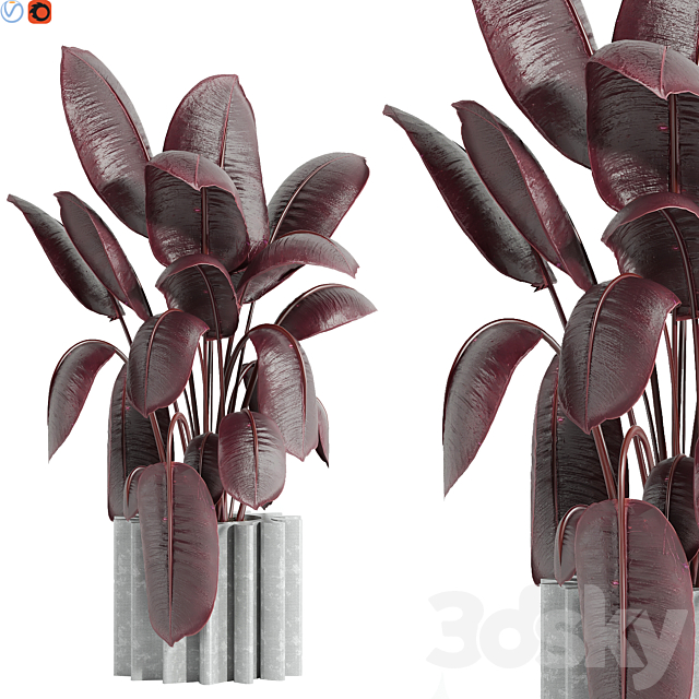 Indoor plant 65 3ds Max - thumbnail 1