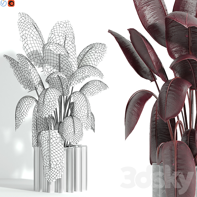 Indoor plant 65 3ds Max - thumbnail 2