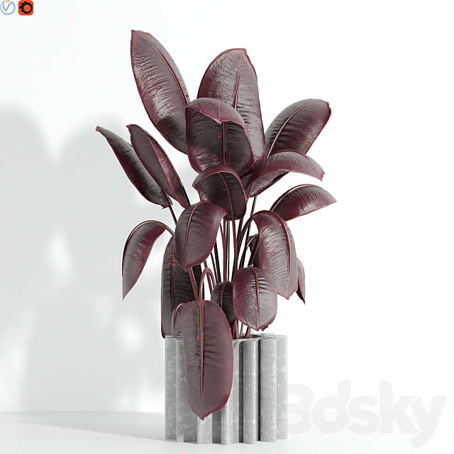 Indoor plant 65 3ds Max - thumbnail 3