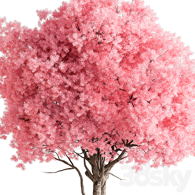 Indoor Plant 657 – Pink Tree 3ds Max - thumbnail 2