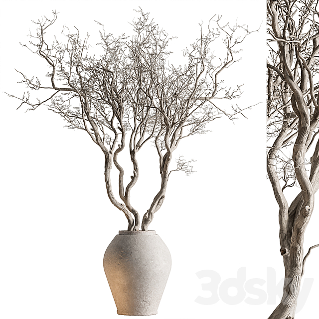 Indoor Plant 703 – Dry Tree 3ds Max - thumbnail 1