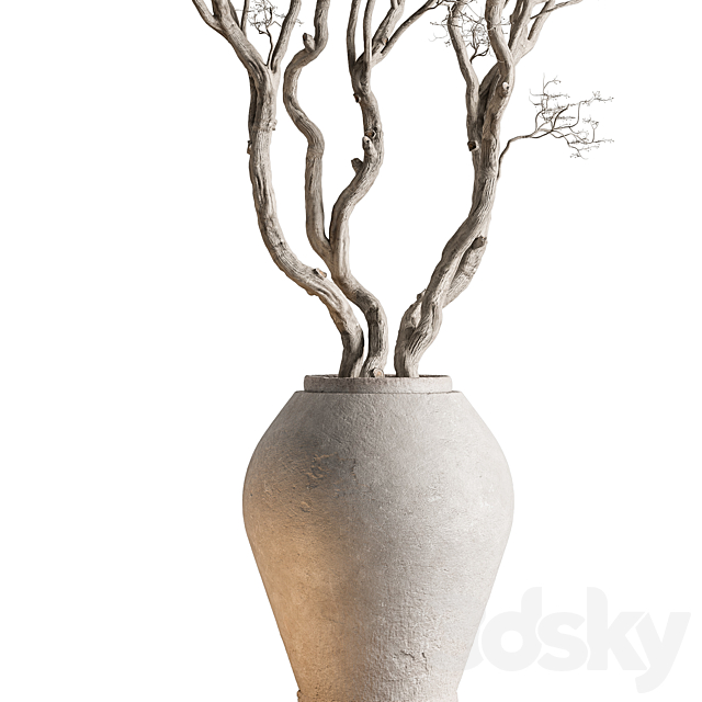 Indoor Plant 703 – Dry Tree 3ds Max - thumbnail 2