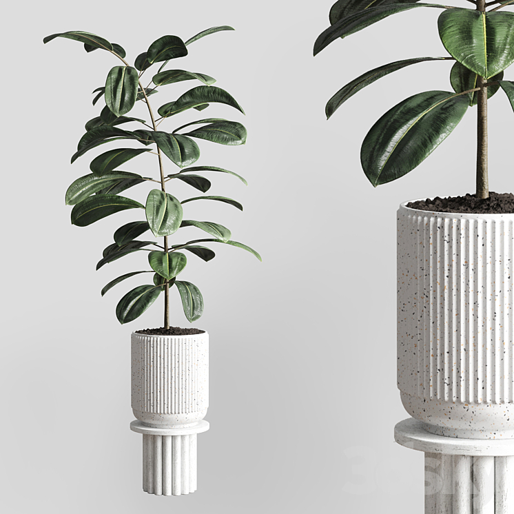 Indoor plant 79 pot plant concrete vase 3DS Max Model - thumbnail 1