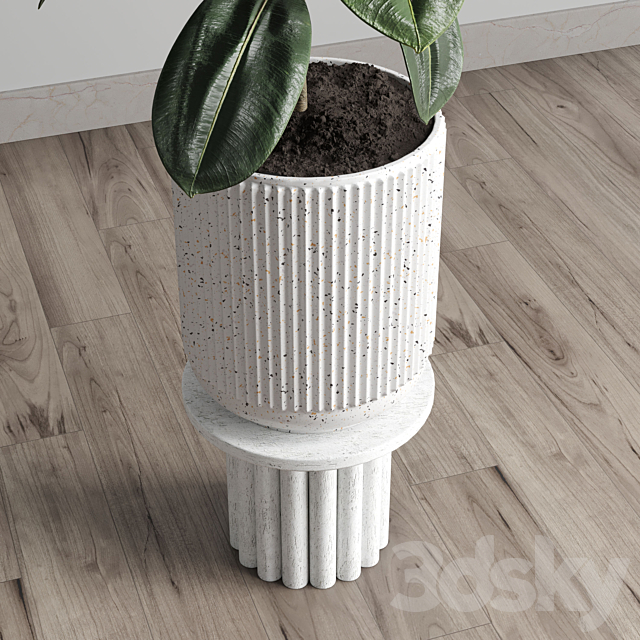 Indoor plant 79 pot plant concrete vase 3DSMax File - thumbnail 3