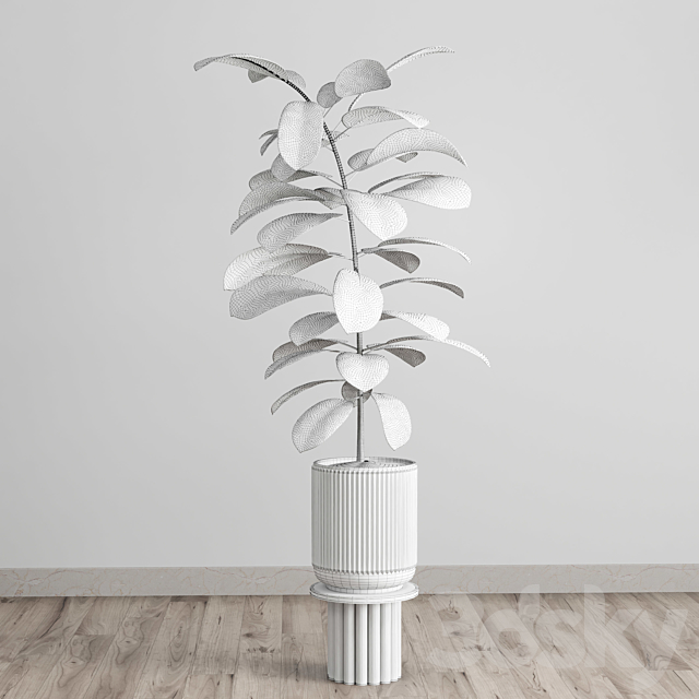 Indoor plant 79 pot plant concrete vase 3DSMax File - thumbnail 4