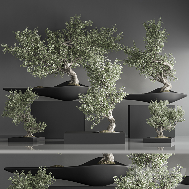 indoor plant bonsai set 35 3DS Max - thumbnail 2