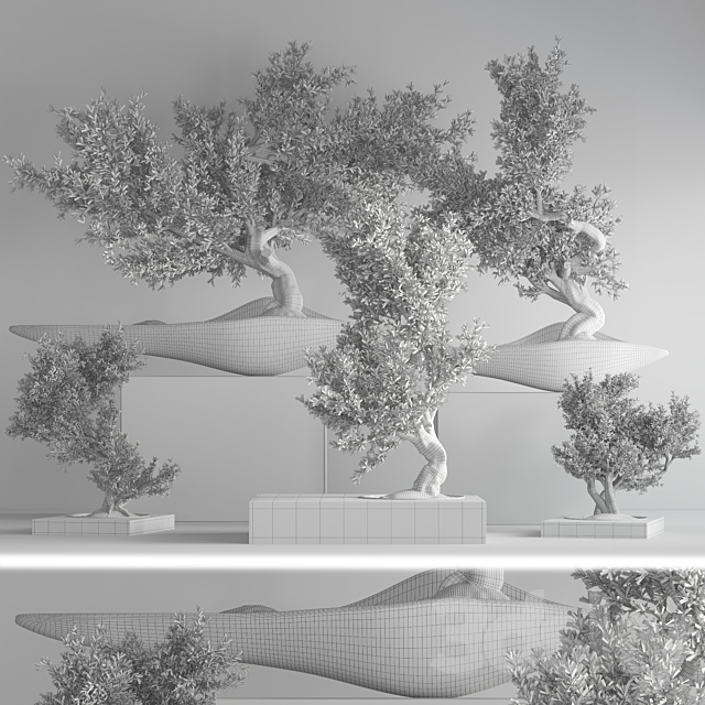 indoor plant bonsai set 35 3DS Max Model - thumbnail 7