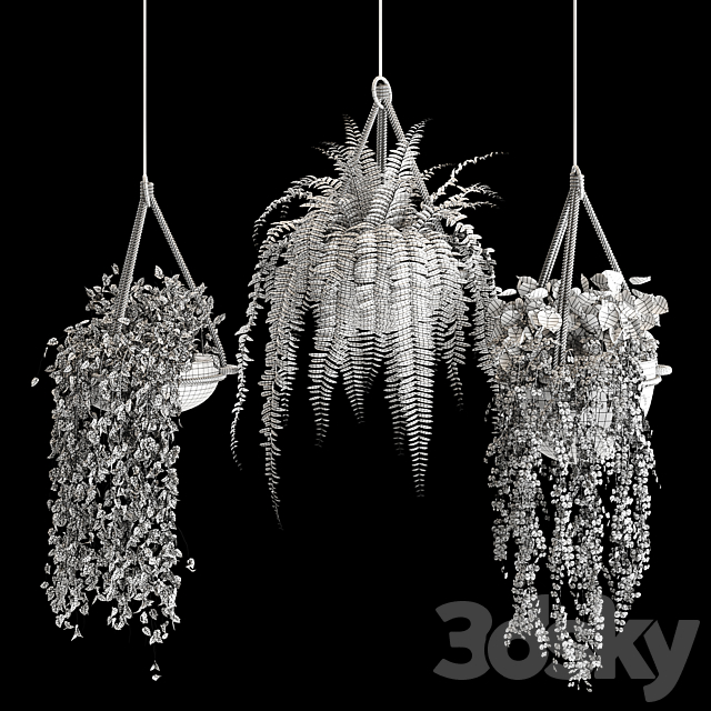 Indoor plant collection 02 3DSMax File - thumbnail 4