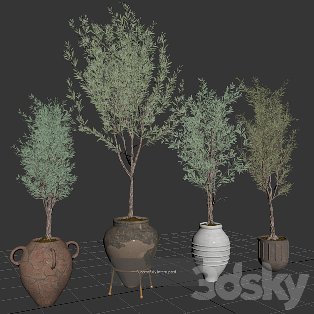 indoor plant olive set 01 3DSMax File - thumbnail 4