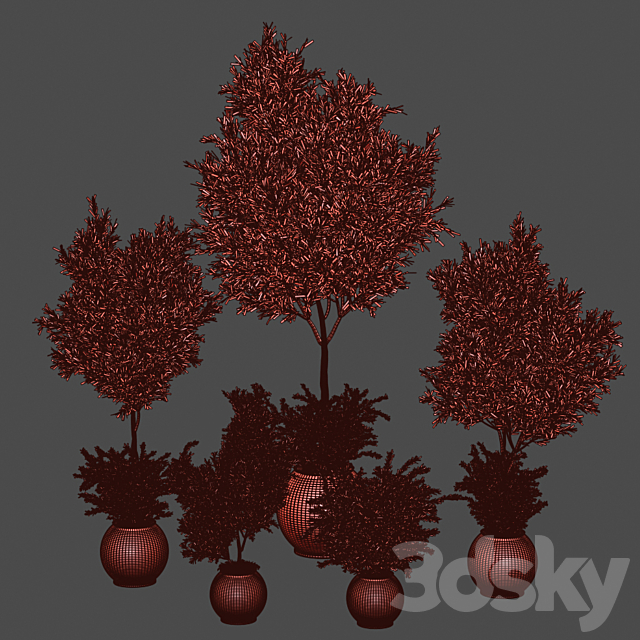 indoor plant olive set 02 3DSMax File - thumbnail 5