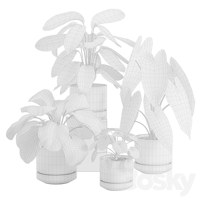 Indoor Plant Pack 30 3ds Max - thumbnail 2