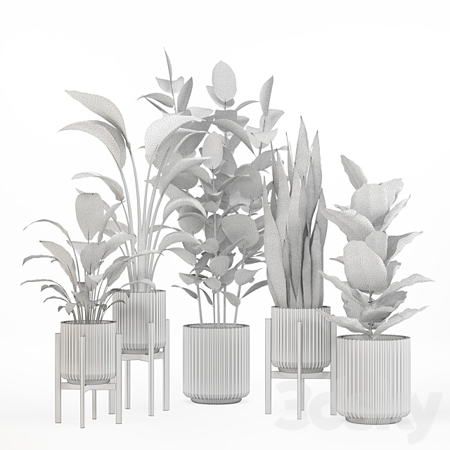 indoor plant set 003 3DS Max Model - thumbnail 2