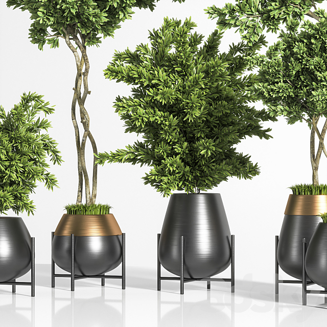 indoor plant set 01 3DS Max Model - thumbnail 2