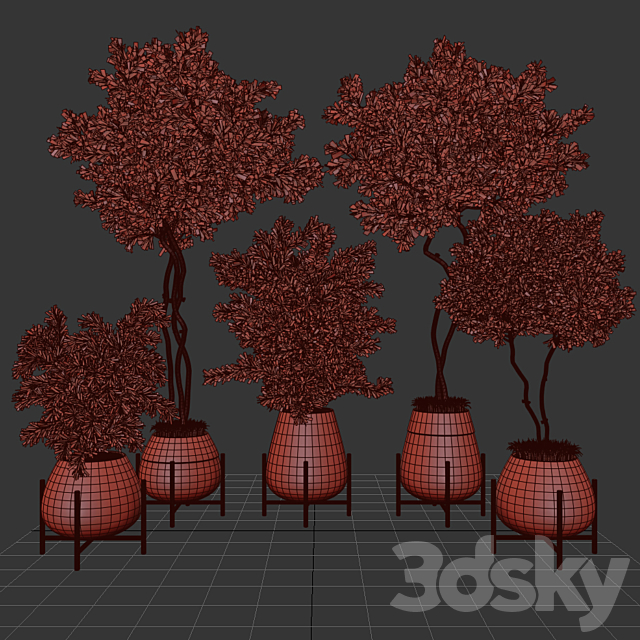 indoor plant set 01 3DS Max Model - thumbnail 4