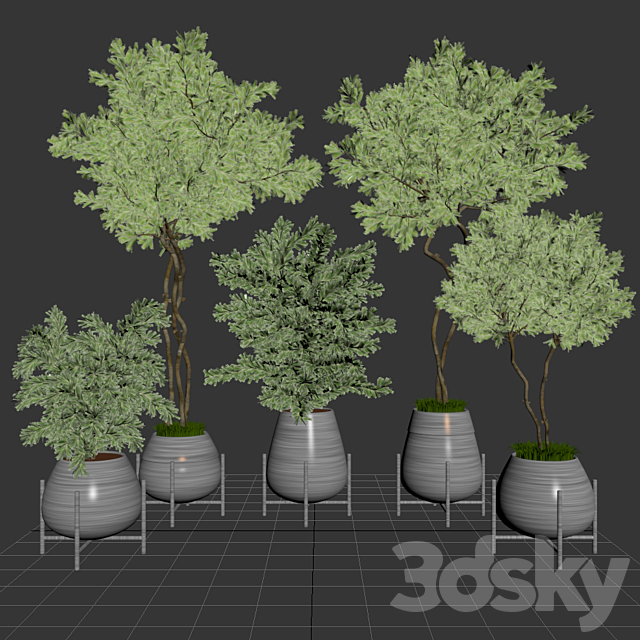 indoor plant set 01 3DS Max Model - thumbnail 5