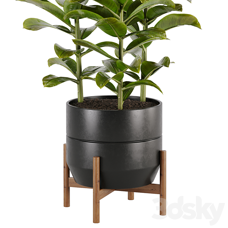 indoor plant Set 02 3DS Max - thumbnail 2