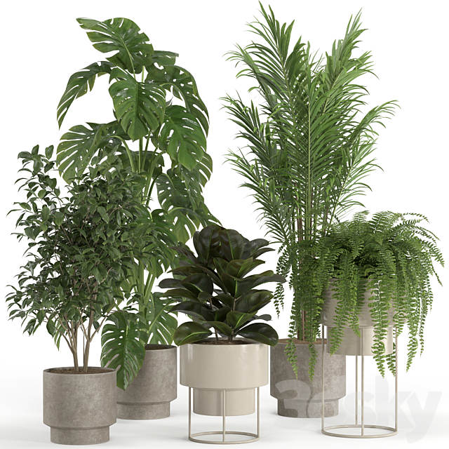 indoor plant set 021 3ds Max - thumbnail 1