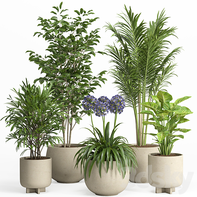 indoor plant set 026 3ds Max - thumbnail 1