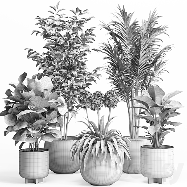 indoor plant set 026 3ds Max - thumbnail 3