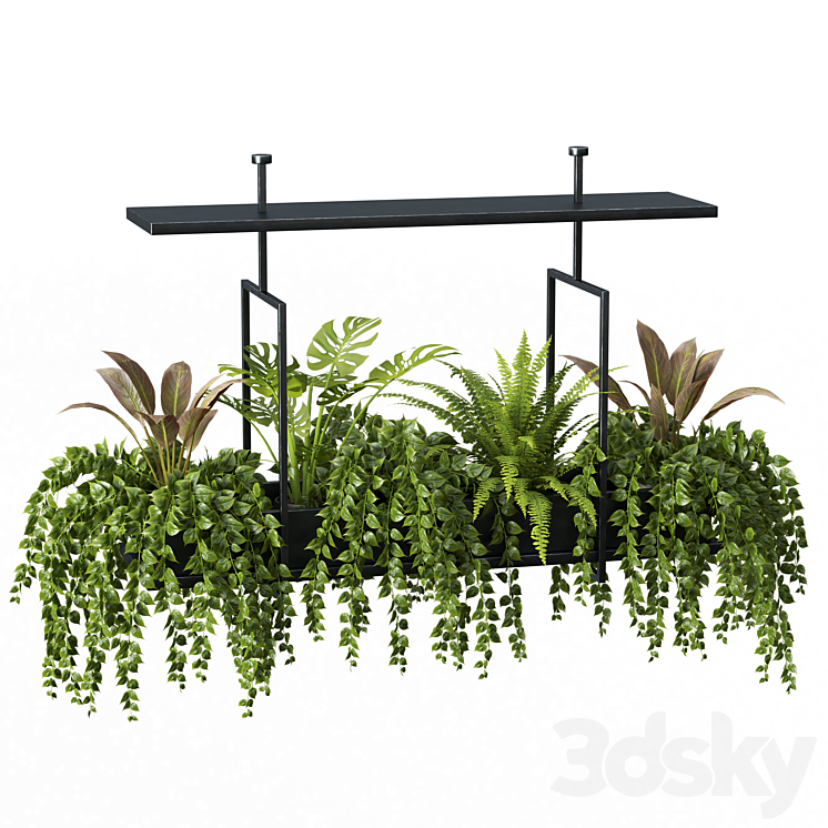 Indoor plant set 05-Hanging plants 3DS Max Model - thumbnail 2