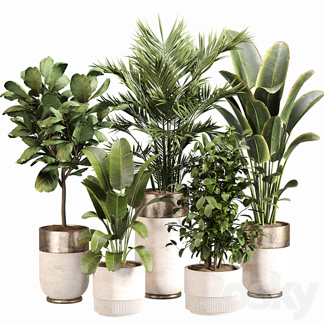 Indoor Plant Set 052 3ds Max - thumbnail 1