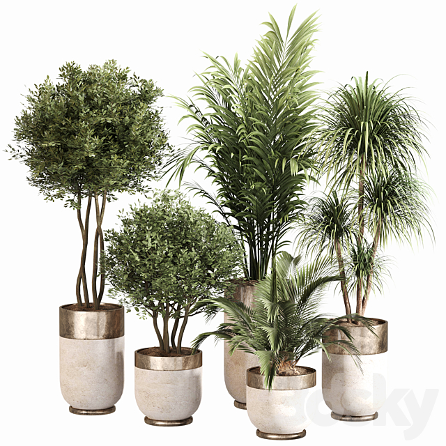 Indoor Plant Set 053 3ds Max - thumbnail 1