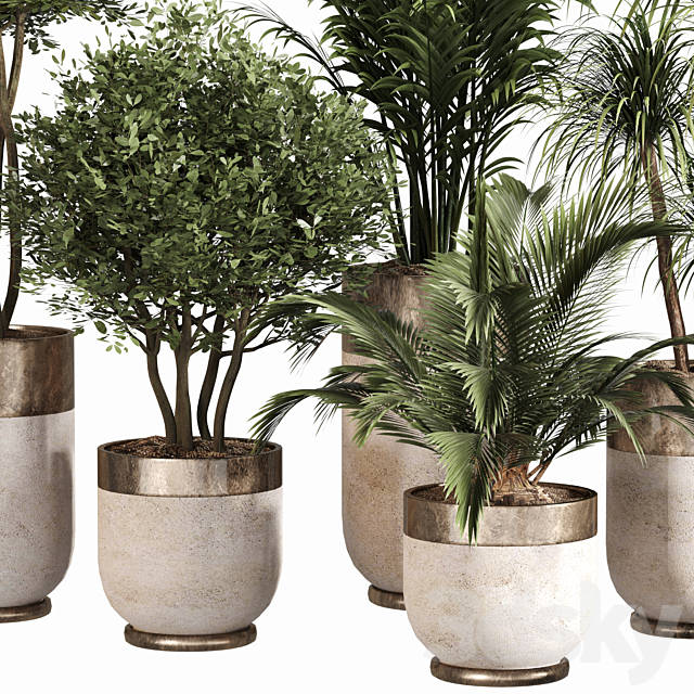 Indoor Plant Set 053 3ds Max - thumbnail 2