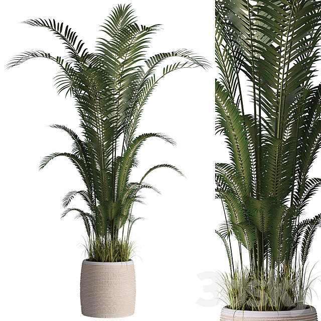 Indoor plant set 07 3ds Max - thumbnail 1