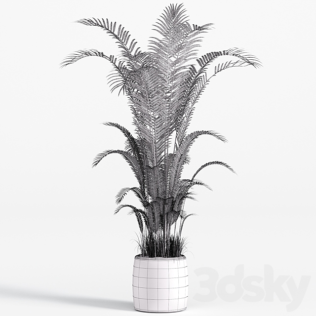 Indoor plant set 07 3ds Max - thumbnail 3