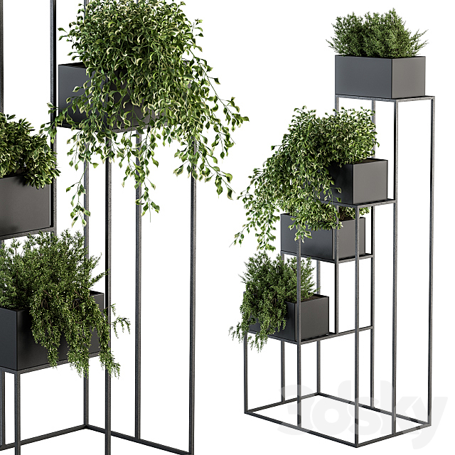 indoor Plant Set 100 – Black stand 3DSMax File - thumbnail 2