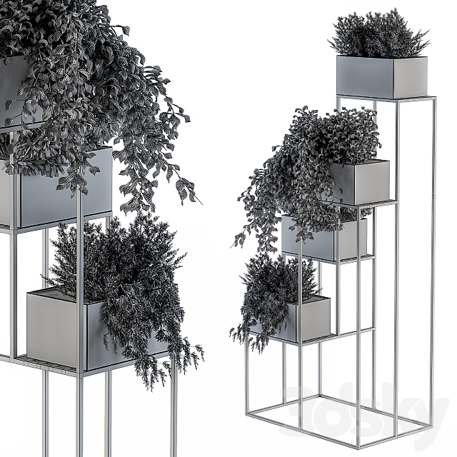 indoor Plant Set 100 – Black stand 3DSMax File - thumbnail 5