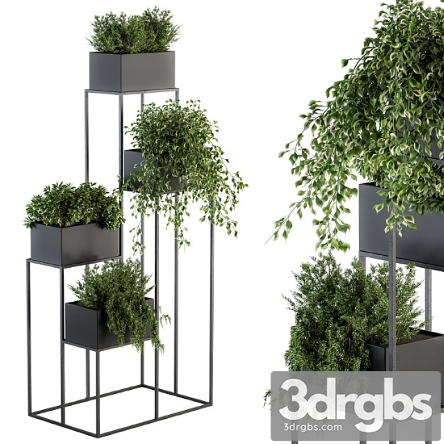 Indoor plant set 100 – black stand - thumbnail 1