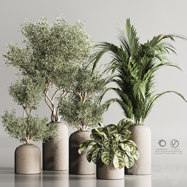 Indoor Plant Set 103 3DS Max - thumbnail 1