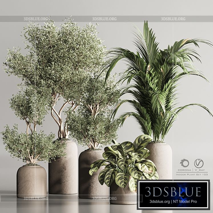 Indoor Plant Set 103 3DS Max - thumbnail 3