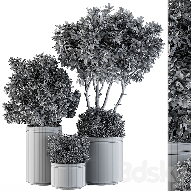 indoor Plant Set 105 – Black and Gold 3DSMax File - thumbnail 4