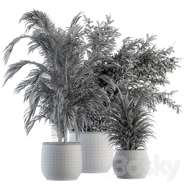 indoor Plant Set 112 – Tropical Plants 3DS Max Model - thumbnail 4