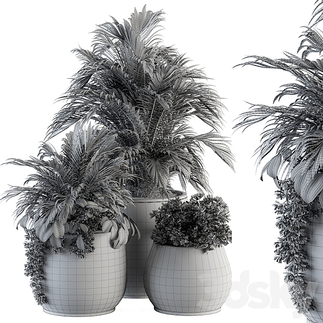 indoor Plant Set 113 – Black Pot 3DSMax File - thumbnail 5