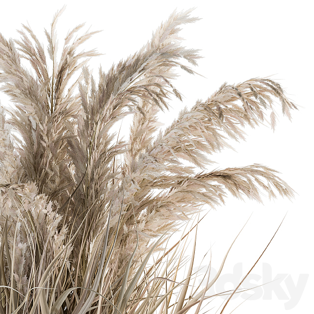 indoor Plant Set 115 – Dried Plant 3DS Max Model - thumbnail 2