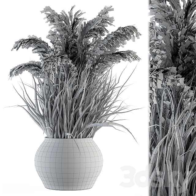 indoor Plant Set 115 – Dried Plant 3DS Max Model - thumbnail 5