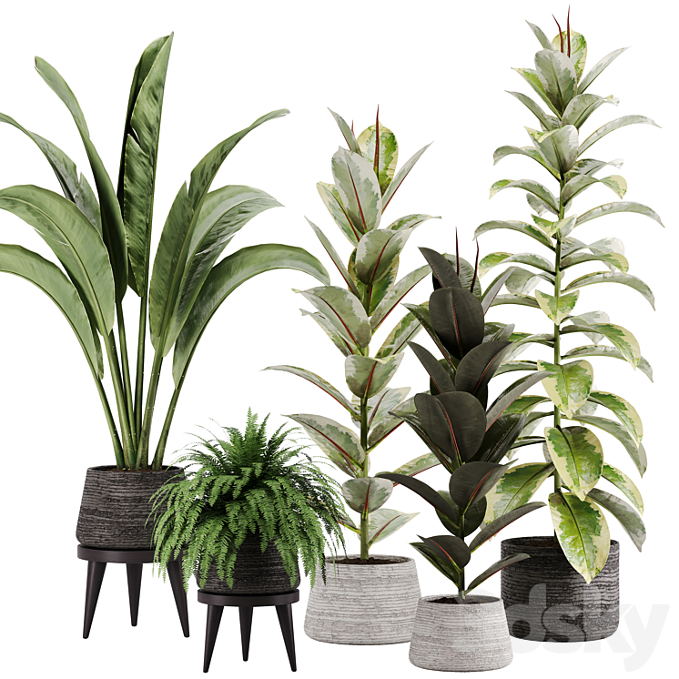 indoor plant Set 12 3DS Max - thumbnail 1