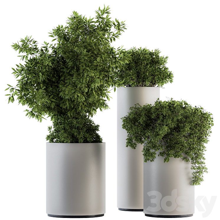 indoor Plant Set 120 – Green and White Set 3DS Max - thumbnail 1