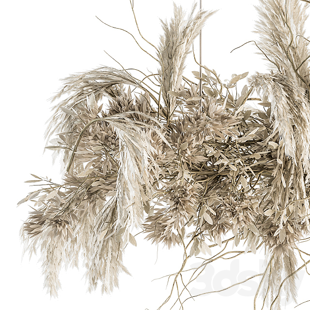 indoor Plant Set 121 – Dried Plant Hanging 3DS Max Model - thumbnail 3