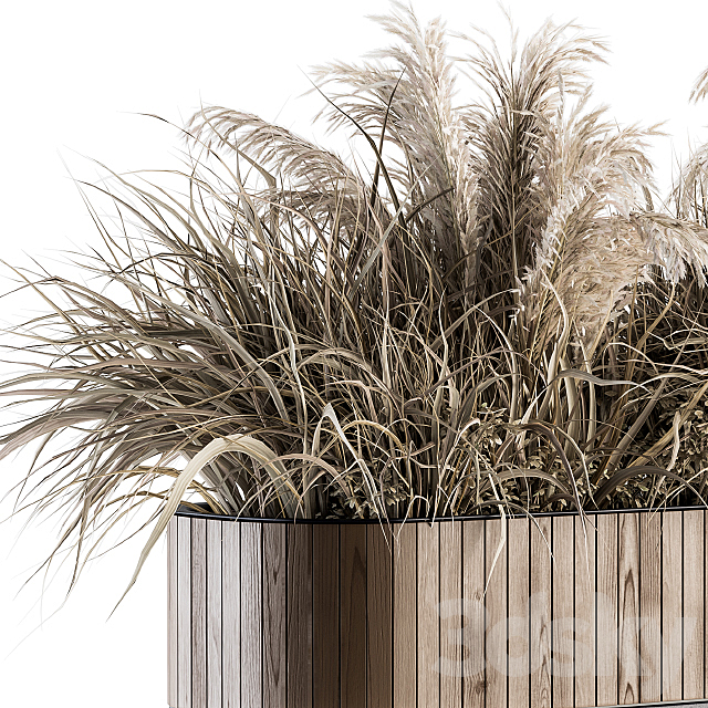 indoor Plant Set 122- Dried Plants in Wood Stand 3DS Max Model - thumbnail 2