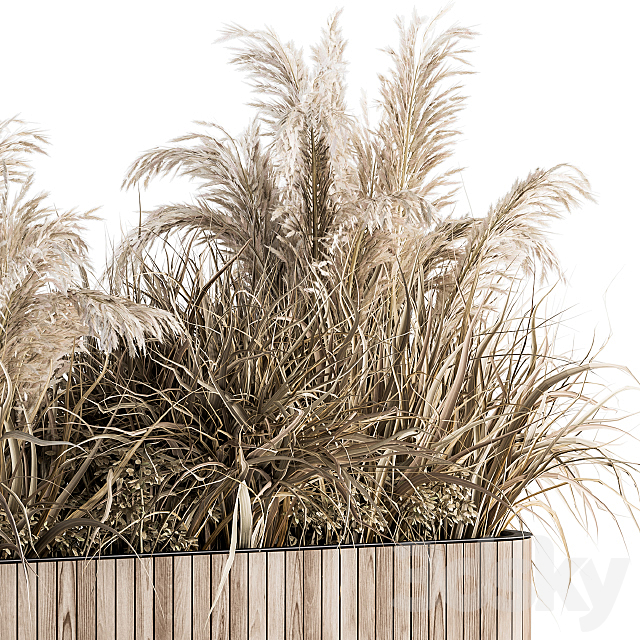 indoor Plant Set 122- Dried Plants in Wood Stand 3DS Max Model - thumbnail 3