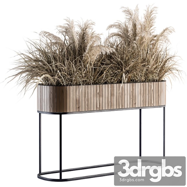 Indoor plant set 122- dried plants in wood stand - thumbnail 1