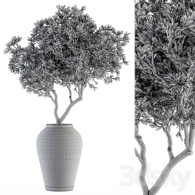 indoor Plant Set 128 – Tree in Pot 3DSMax File - thumbnail 4